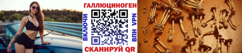 Галлюциногенные грибы Magic Shrooms как найти закладки Ельня